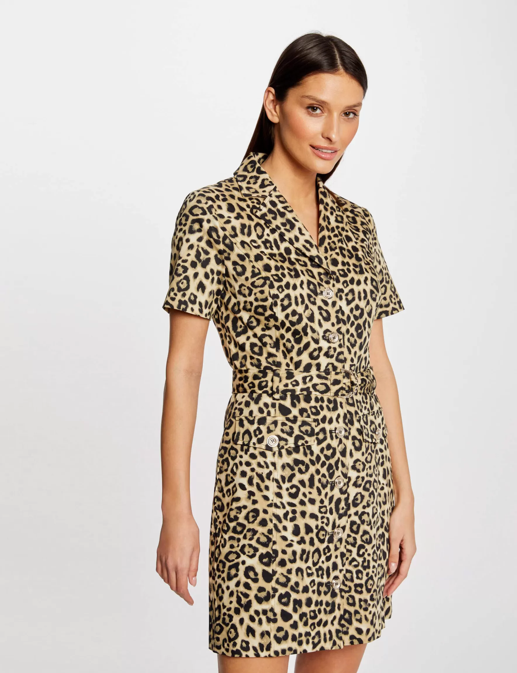 Clothes MORGAN ^Belted fitted dress leopard print ladies' multico