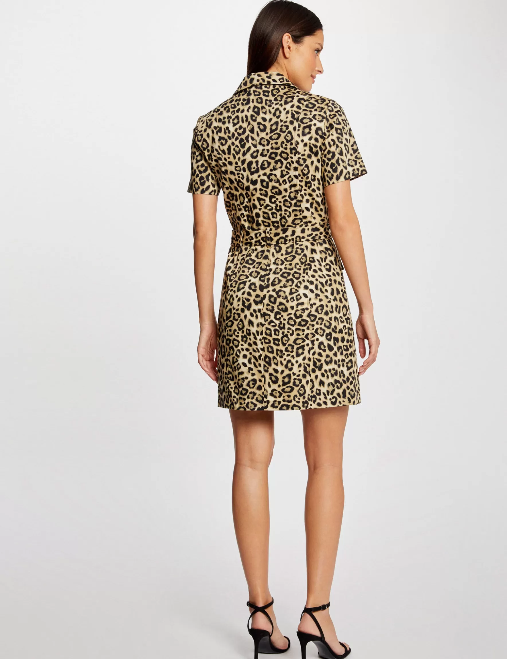 Clothes MORGAN ^Belted fitted dress leopard print ladies' multico